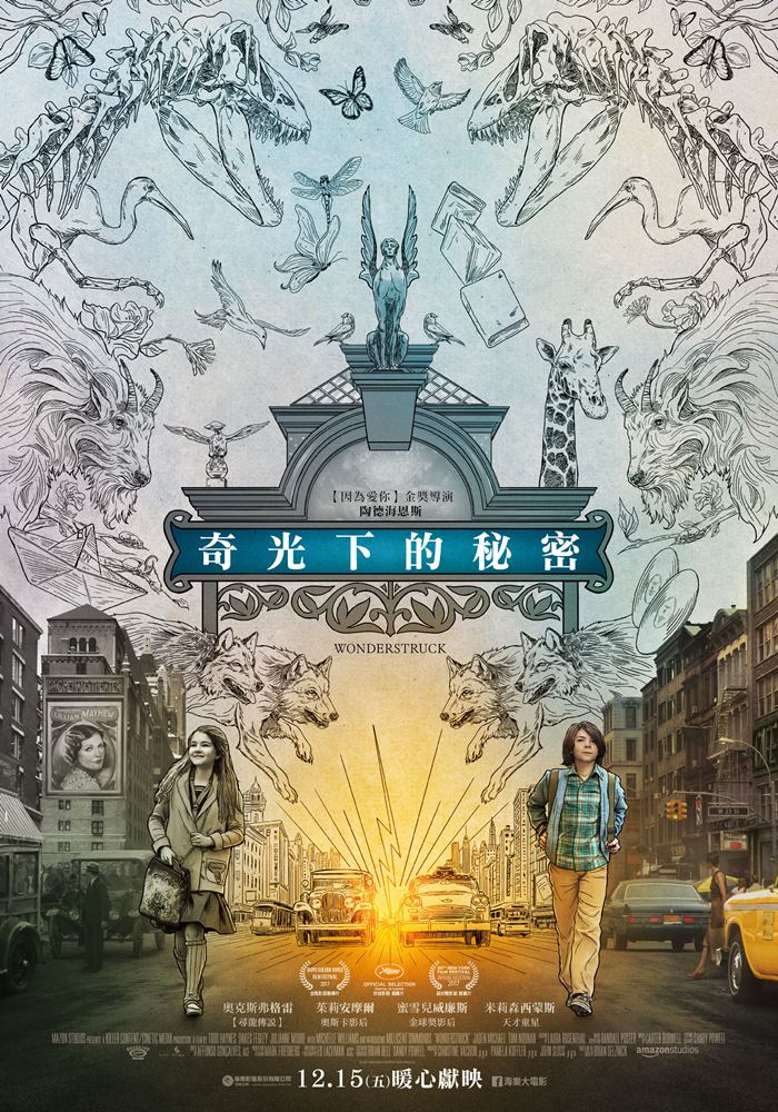 奇光下的秘密 奇光下的秘密