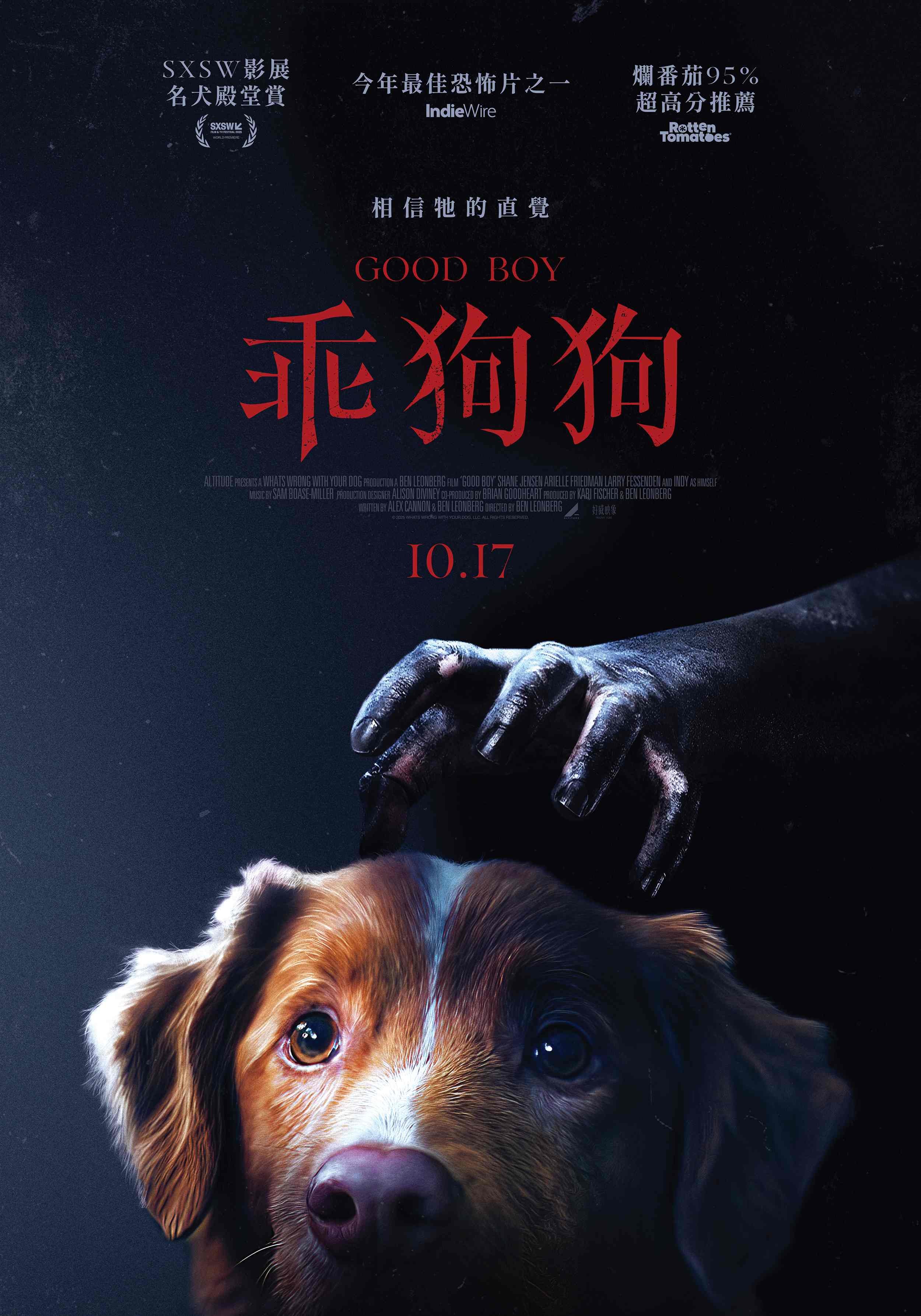 乖狗狗